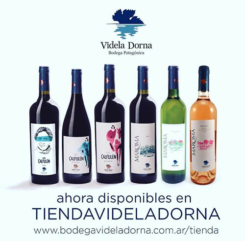 R1 Bodega Videla Dorna